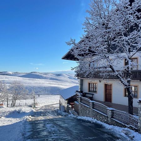 Guest House Vila Djokic Zlatibor Extérieur photo