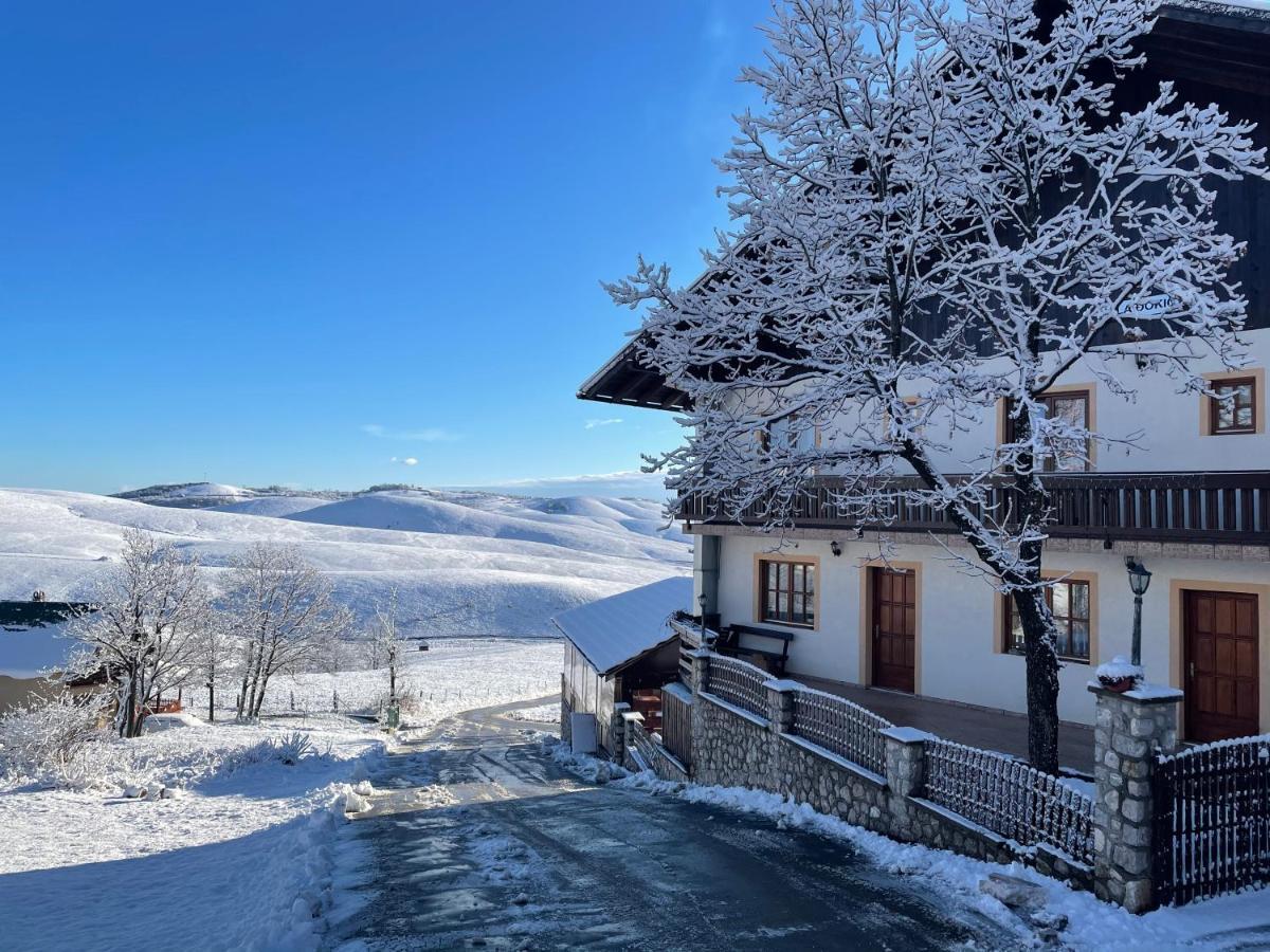 Guest House Vila Djokic Zlatibor Extérieur photo