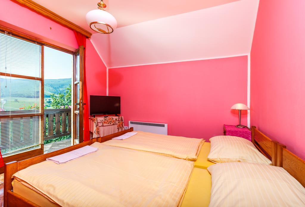 Guest House Vila Djokic Zlatibor Extérieur photo