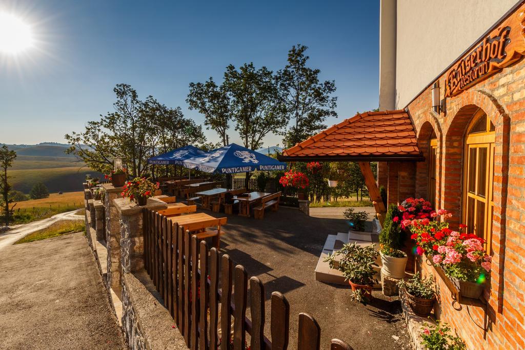 Guest House Vila Djokic Zlatibor Extérieur photo