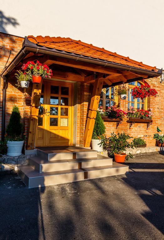 Guest House Vila Djokic Zlatibor Extérieur photo